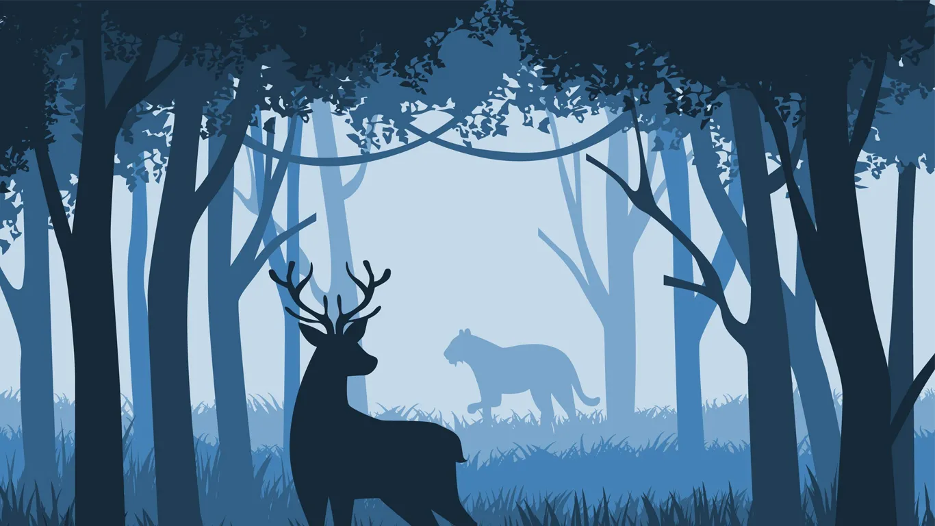 Forest illustration